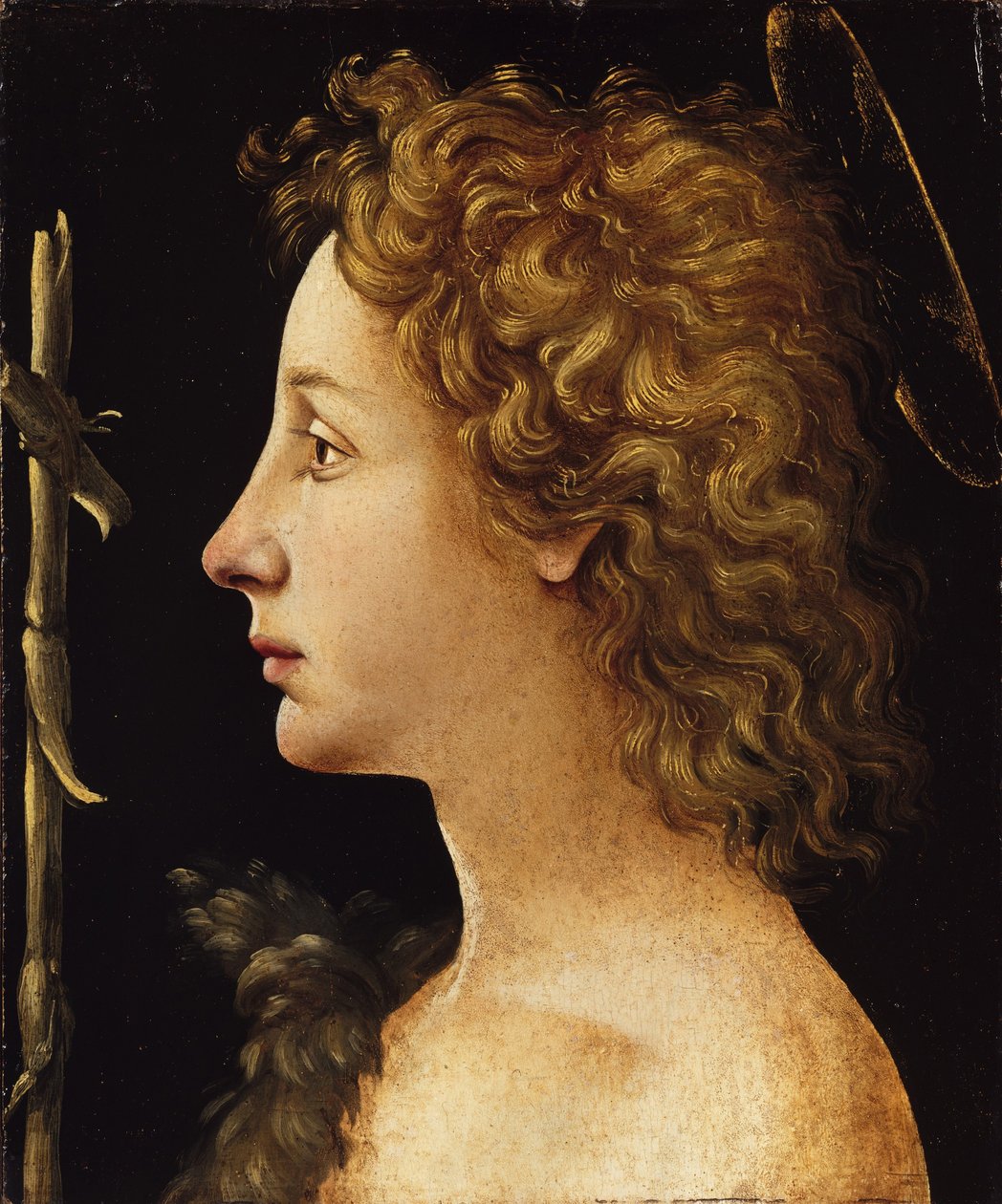 The Young Saint John the Baptist by Piero di Cosimo