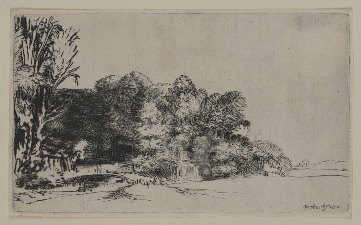 Clump of Trees with a Vista, 1652 by Pierre Auguste Renoir
