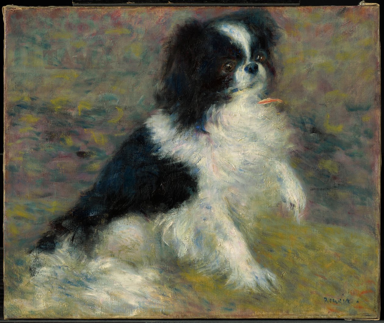 Tama, the Japanese Dog by Pierre-Auguste Renoir