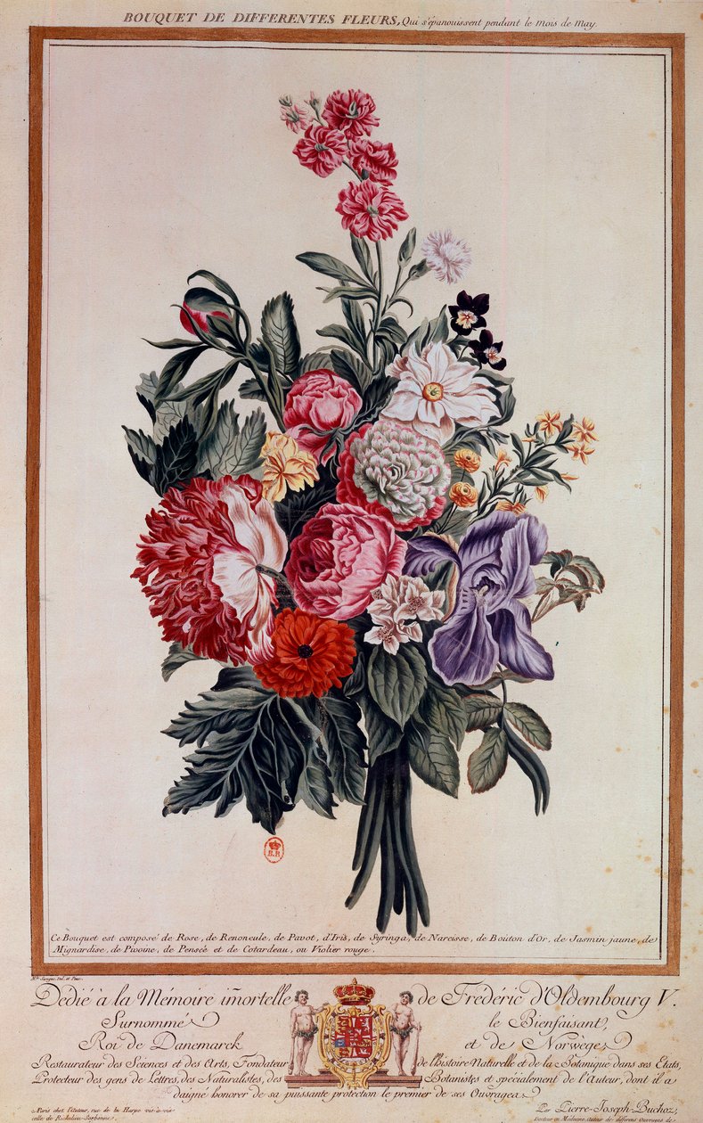 Bouquet of Flowers Lithograph by Pierre Joseph by Pierre Joseph Buchoz