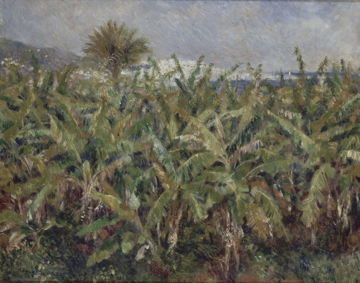 Field of Banana Trees, 1881 by Pierre Auguste Renoir