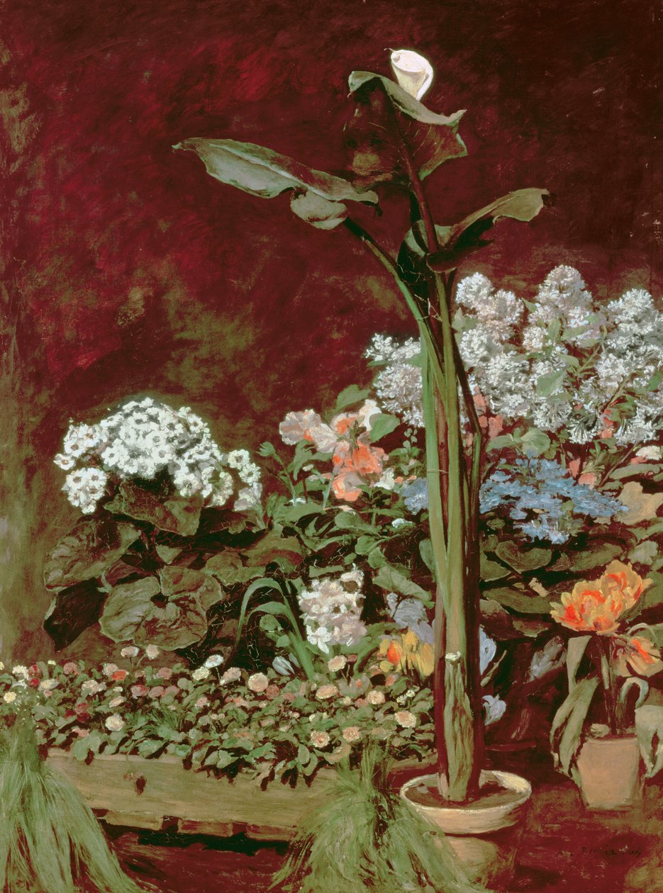 Lily and Greenhouse Plants by Pierre Auguste Renoir
