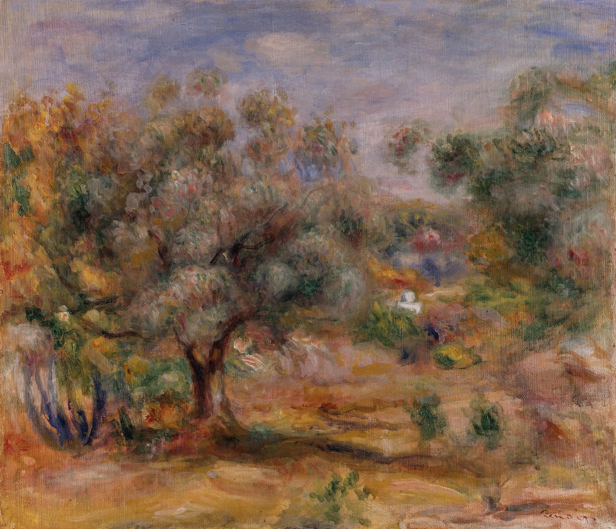 Olive Tree in Les Collettes by Pierre Auguste Renoir