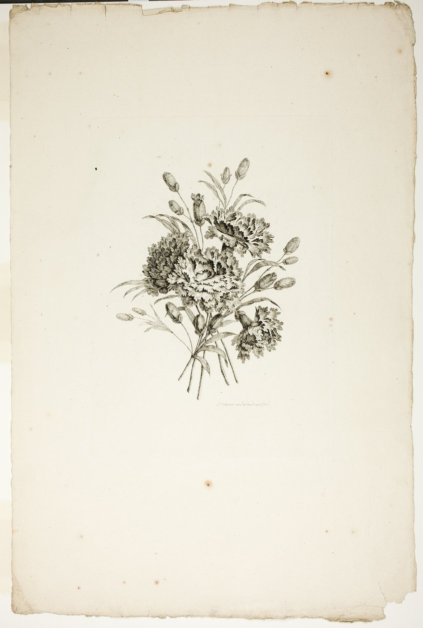 Bouquet with Carnations, from Collection of Different Bouquets of Flowers, Invented and Drawn by Jean Pillement and Engraved by P. C. Canot by Pierre Charles Canot