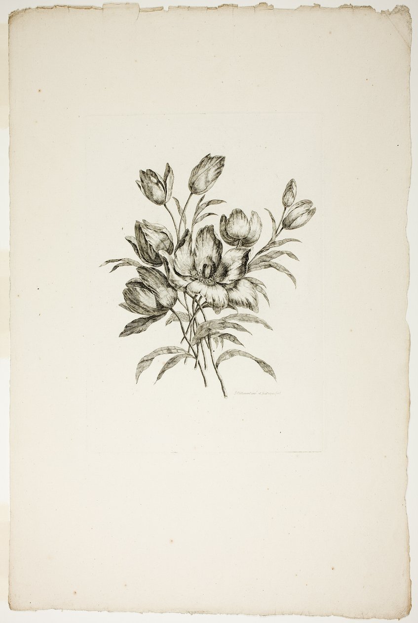Bouquet with Tulips, from Collection of Different Bouquets of Flowers, Invented and Drawn by Jean Pillement and Engraved by P. C. Canot by Pierre Charles Canot