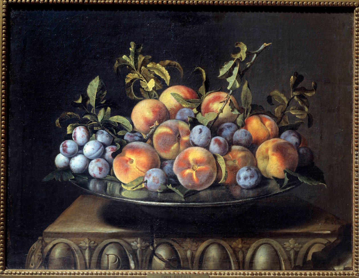 Peaches and plums in a tin dish by Pierre Dupuis