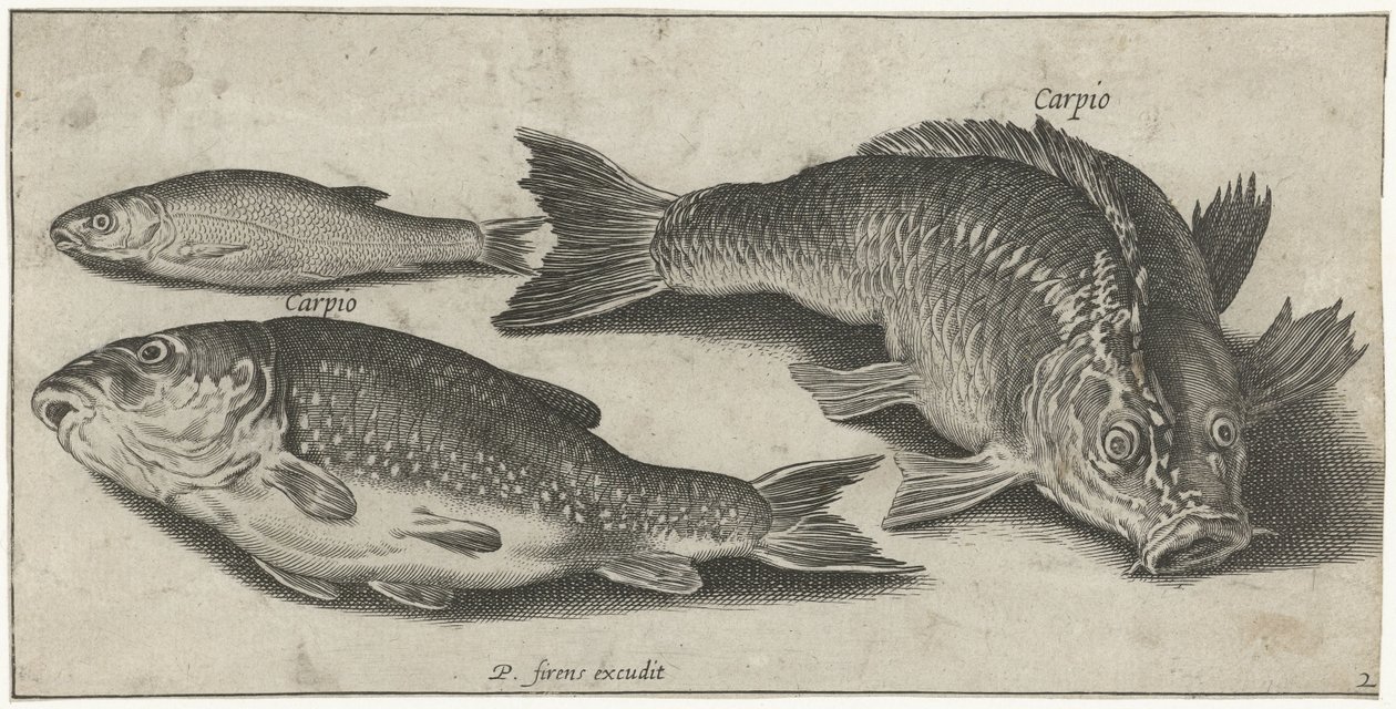 Three Carps by Pierre Firens