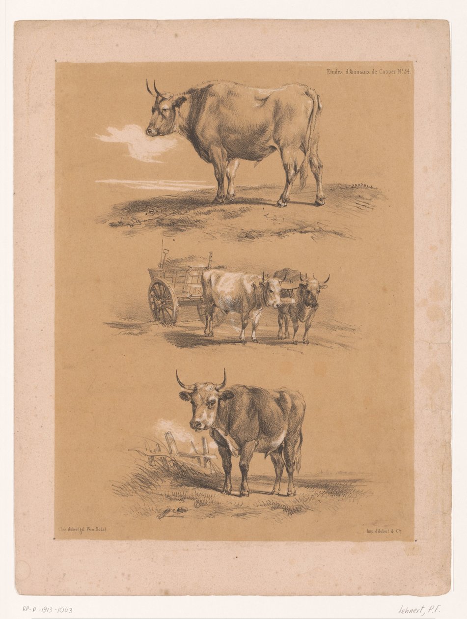 Three Studies of Oxen and Ox Cart by Pierre Frédéric Lehnert