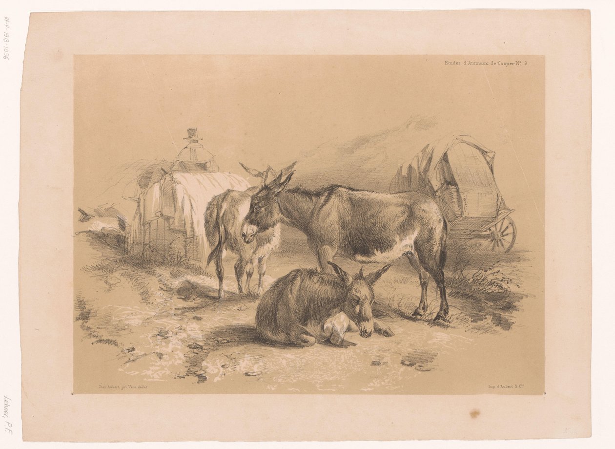 Study of Three Donkeys by Pierre Frédéric Lehnert