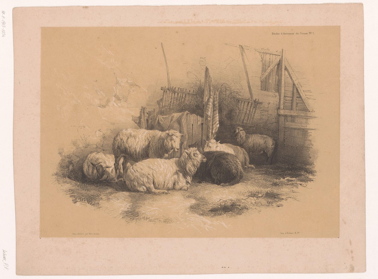 Study of a Flock of Sheep by a Fence (series title: Animal Studies by Cooper) by Pierre Frédéric Lehnert