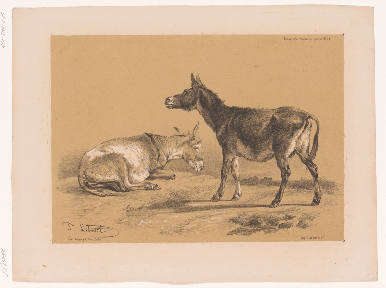 Study of Two Donkeys (Animal Studies by Cooper) by Pierre Frédéric Lehnert