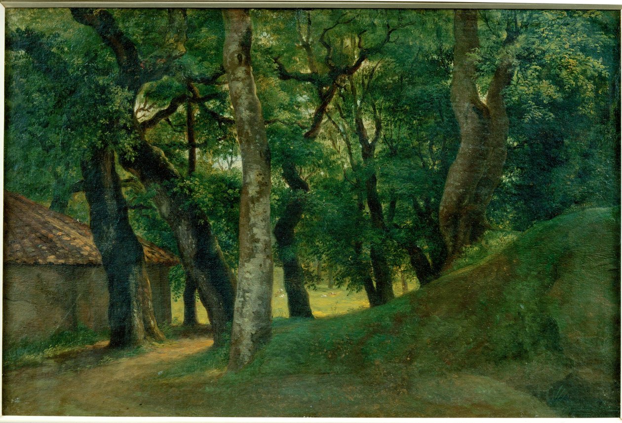Forest of the Villa Borghese by Pierre Henri de Valenciennes