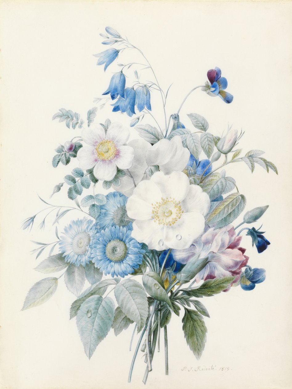 Blue Asters, Rosa Spinosissima (Hybrid), Harebell, Violas, Carnation and a Wild Rose by Pierre Joseph Redouté