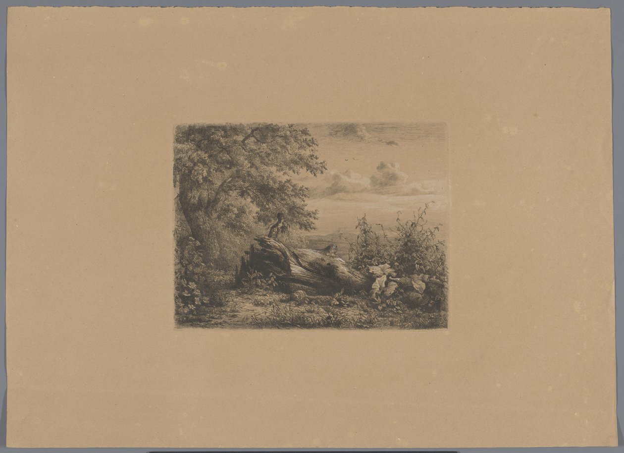 Fallen tree at the forest edge (Five etching proofs) by Pierre Louis Dubourcq (workshop of)