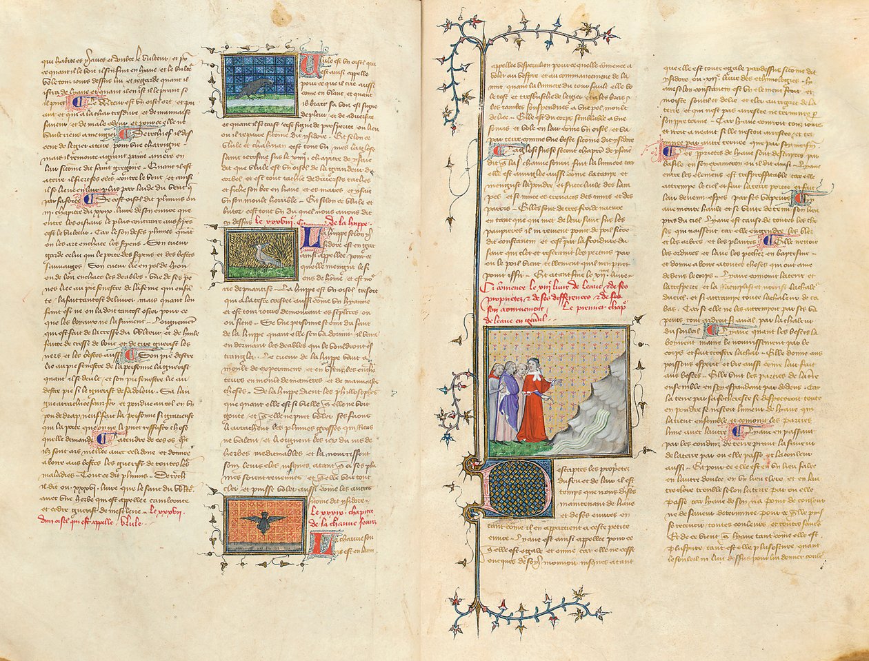 Page from 