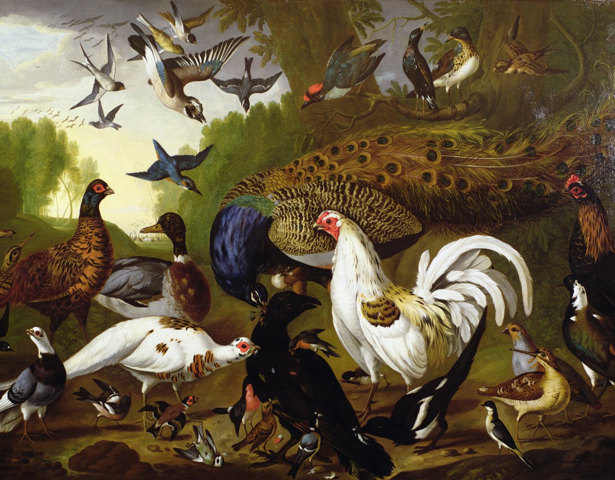The Fable of the Raven with a Peacock, Cockerel, Woodpecker, Jay, Woodcock, and Magpie by Pieter Casteels