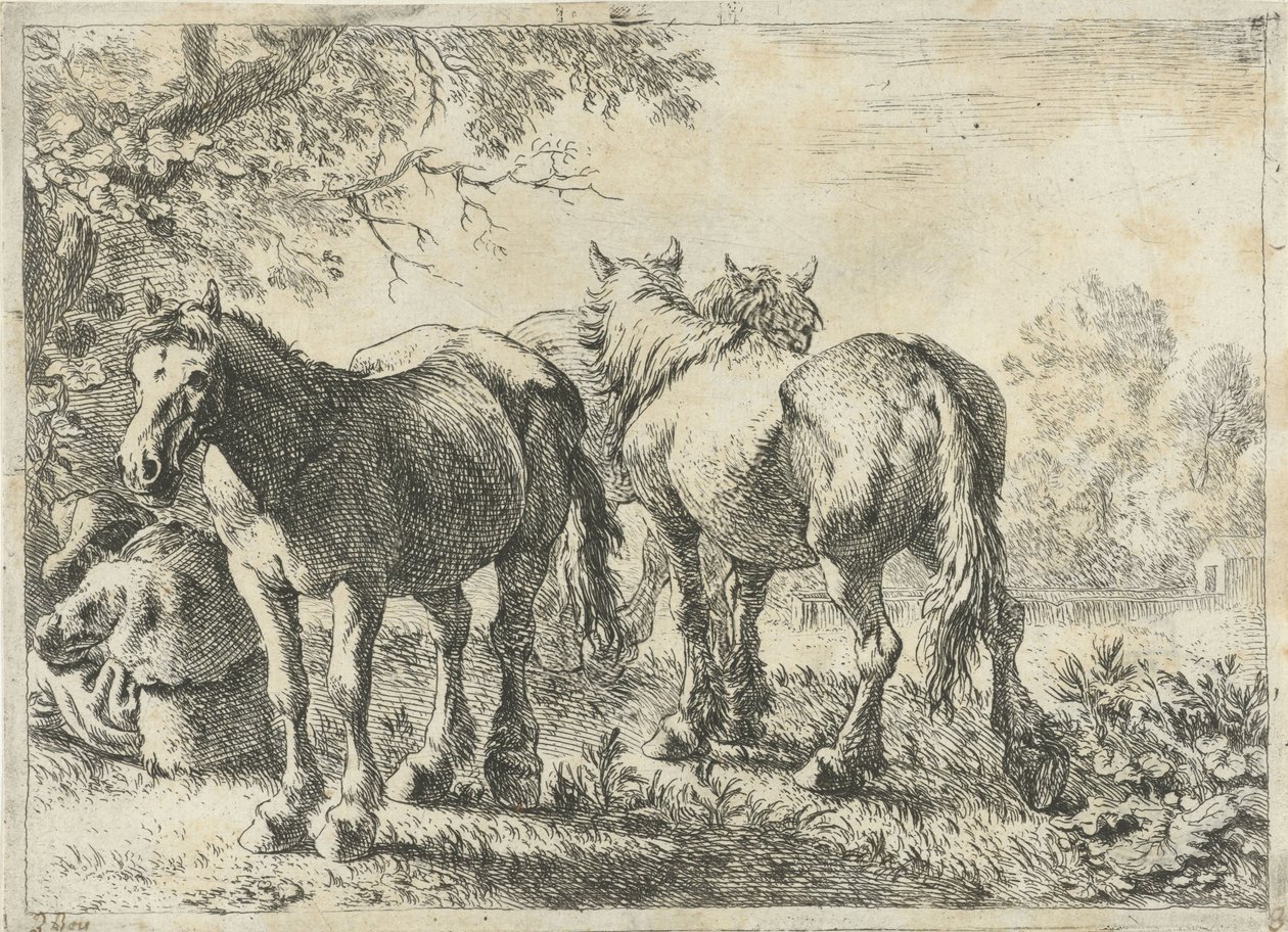 Three Horses and a Farmer (Various Animals series) by Pieter Bodding van Laer
