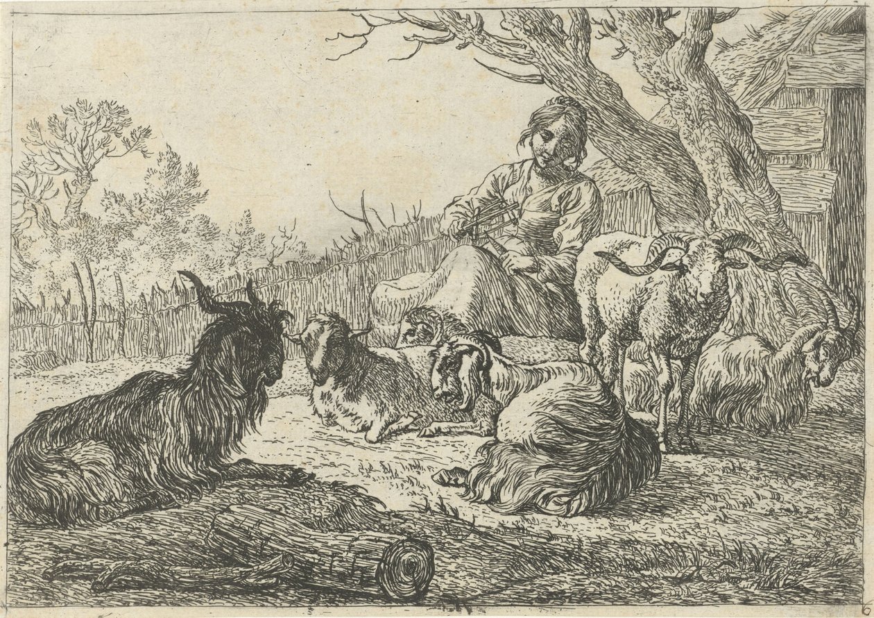 Shepherdess Among Goats and Sheep (Various Animals) by Pieter Bodding van Laer