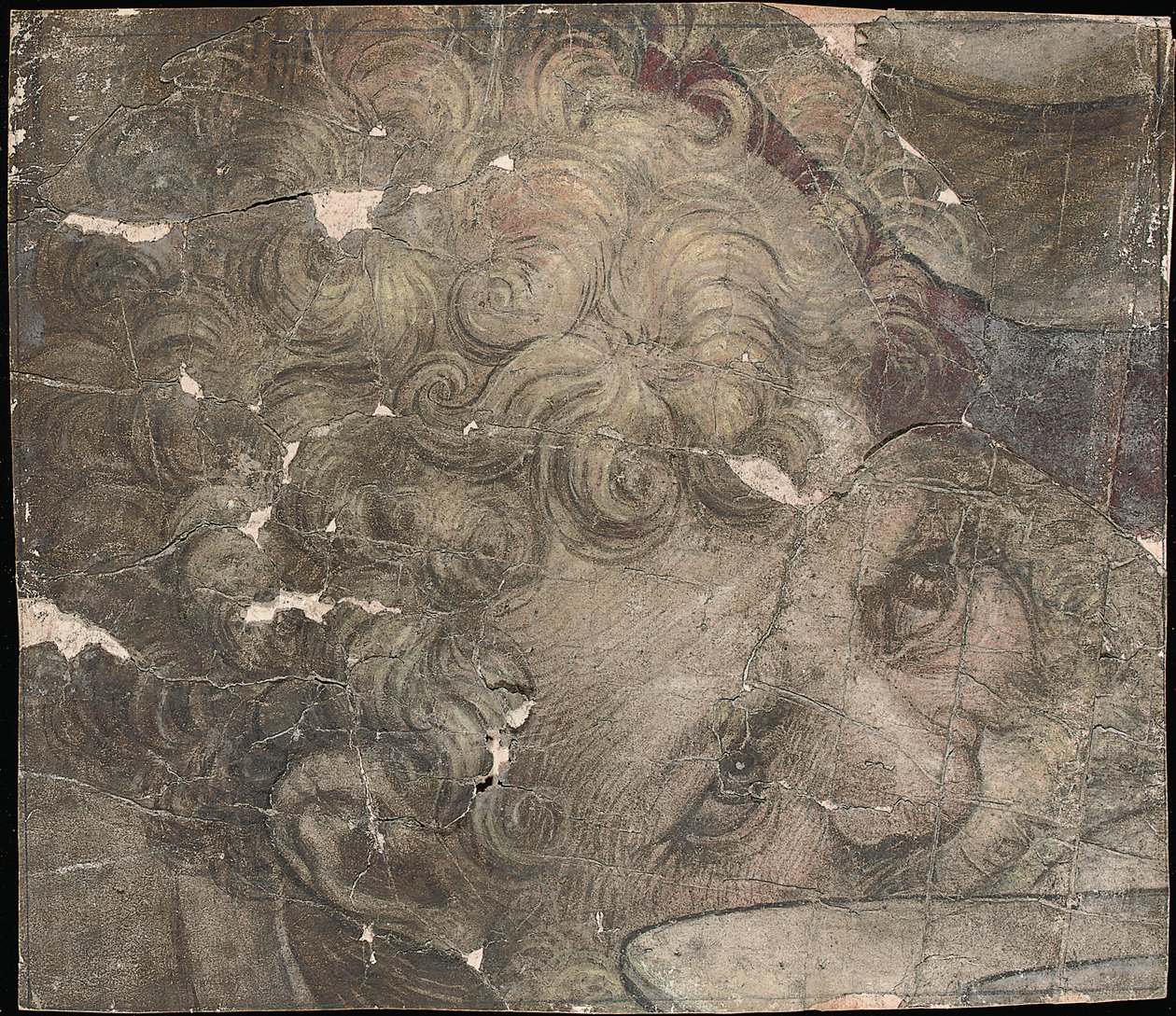 Head of a Bearded Man Looking Upwards by Pieter Coecke van Aelst
