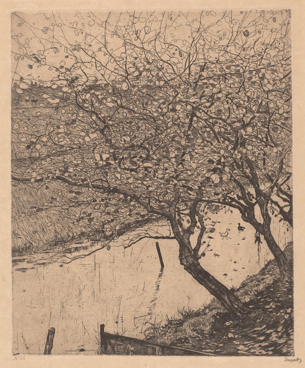 Apple Trees along the Side of a Ditch by Pieter Dupont