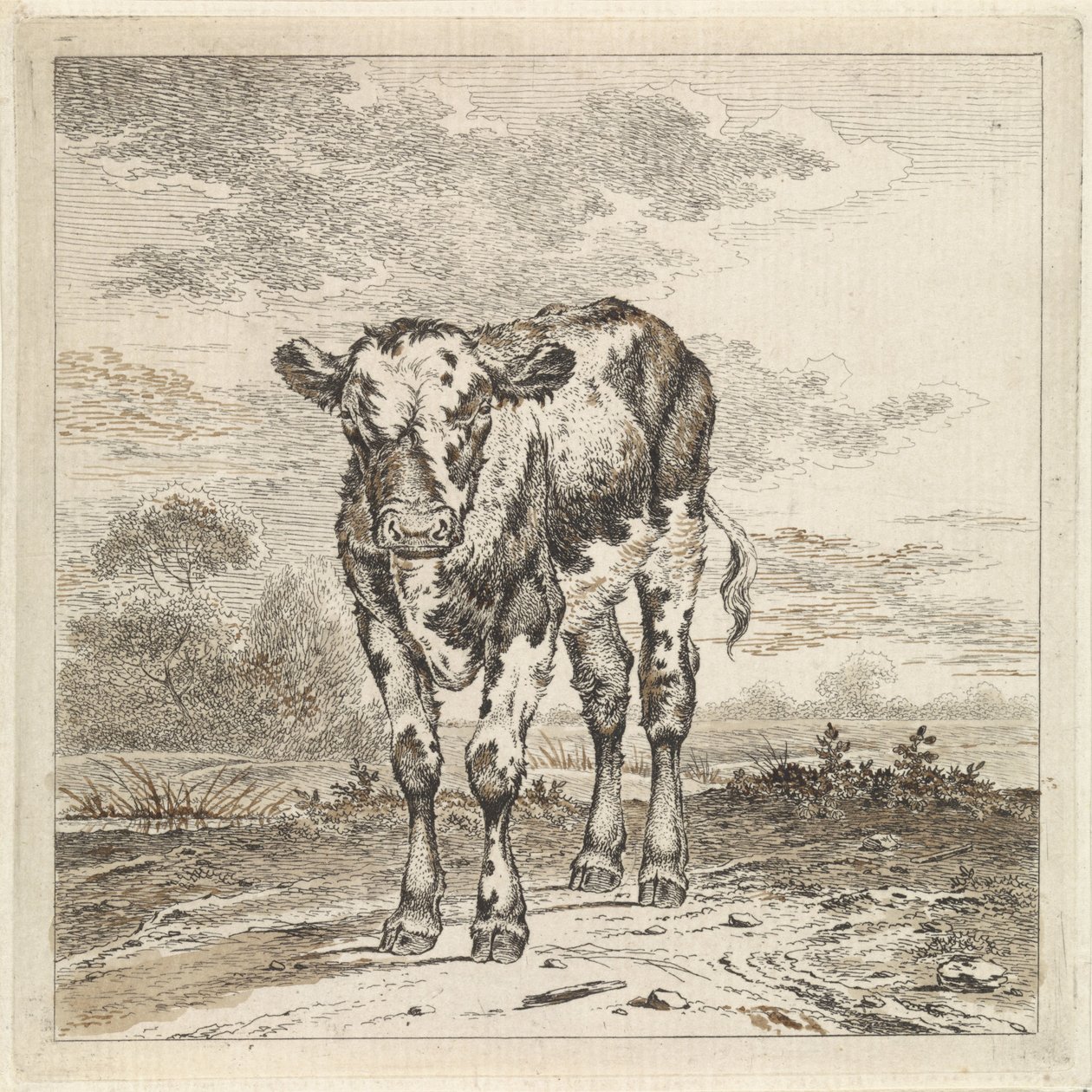 Landscape with Calf by Pieter Janson