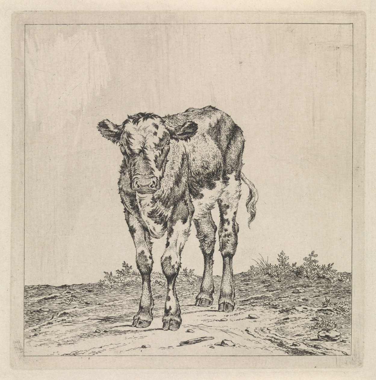 Landscape with Calf by Pieter Janson