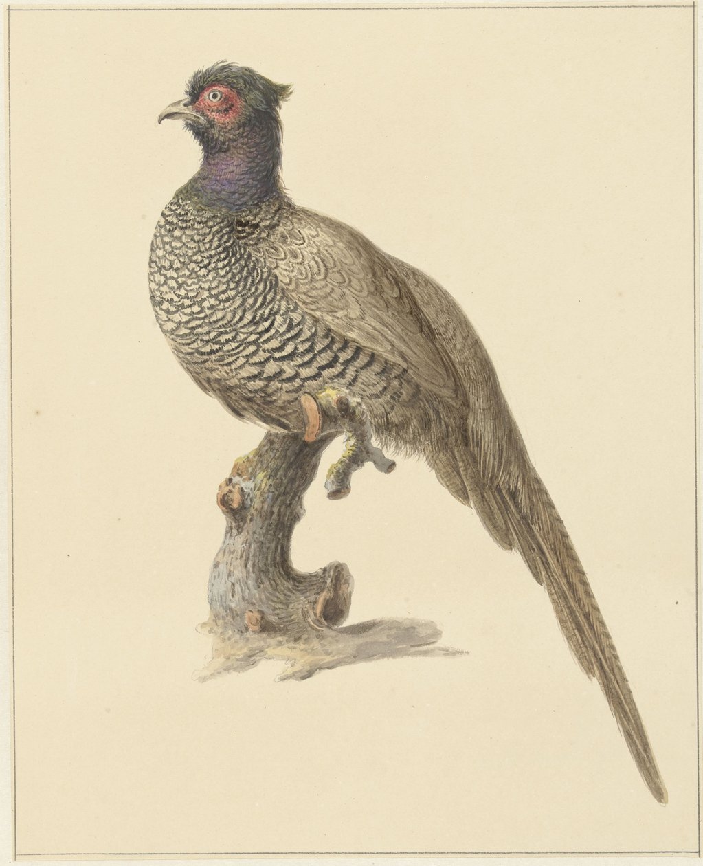 Hunting Pheasant by Pieter Pietersz. Barbiers