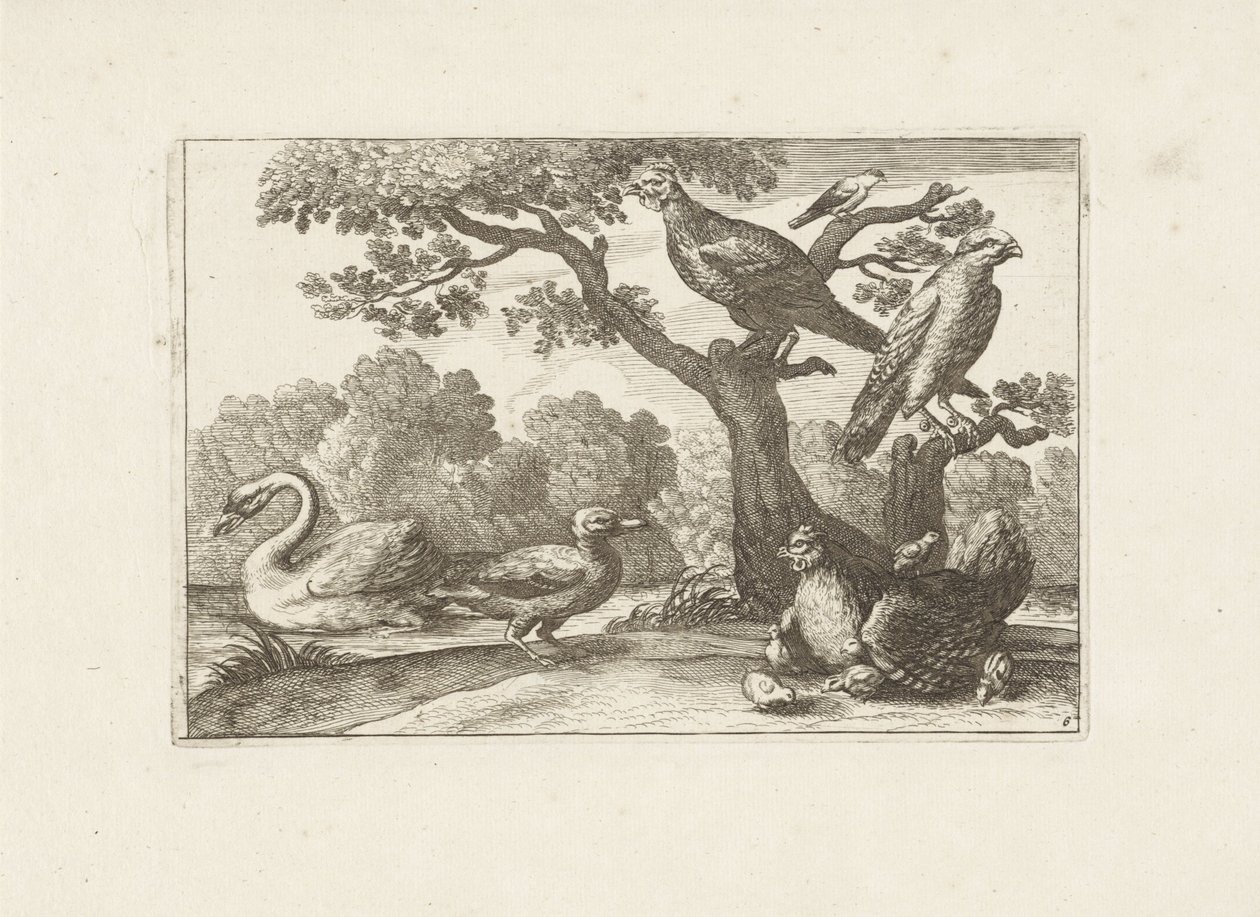 Hen with Chicks and Other Birds by Pieter Schenk (I) (attributed to)