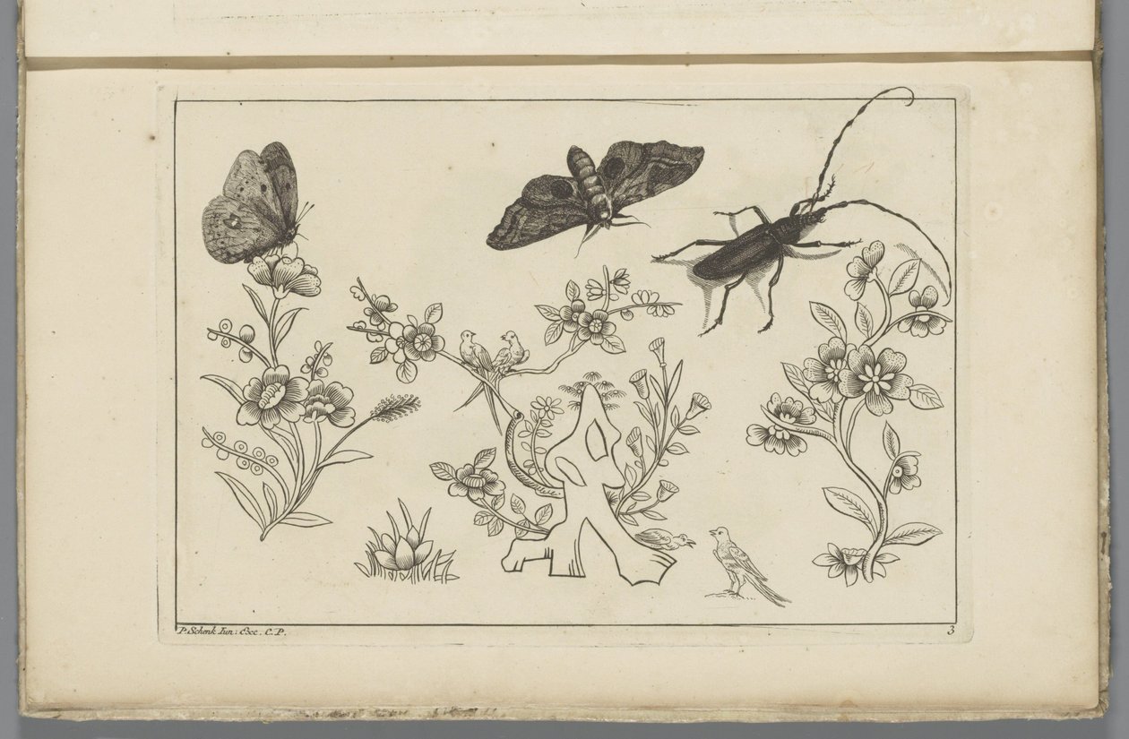 Three flower branches with birds, butterflies, and an insect by Pieter Schenk (II)