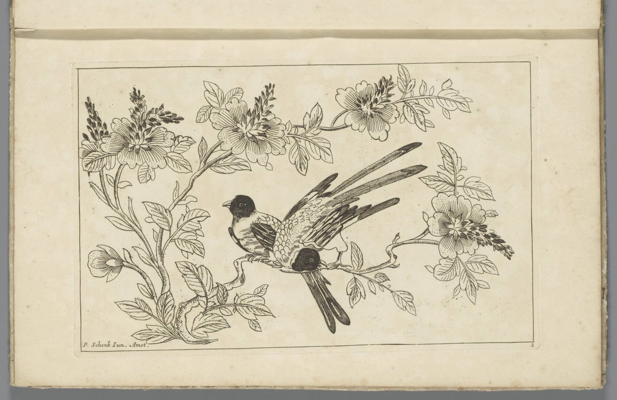 Two Birds on a Blossom Branch (Chinese Flowers and Birds) by Pieter Schenk (II)