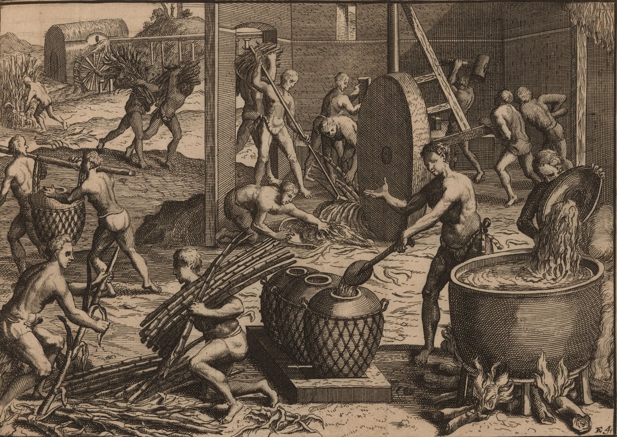 Slaves Process Sugar Cane and Make Sugar by Pieter Van der Aa