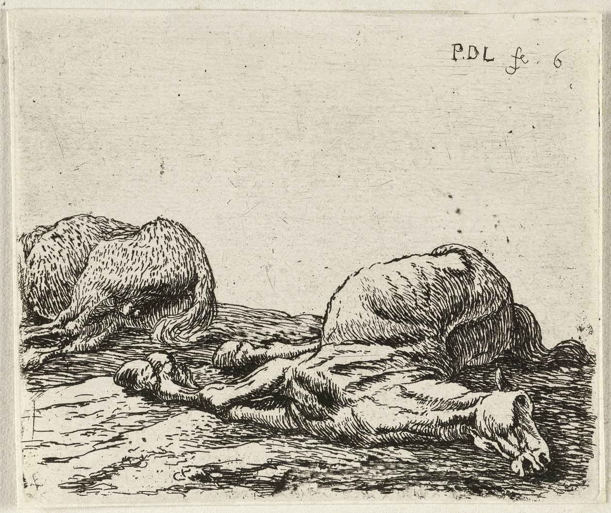 Two Dead Horses by Pieter van Laer: Premium art reproduction