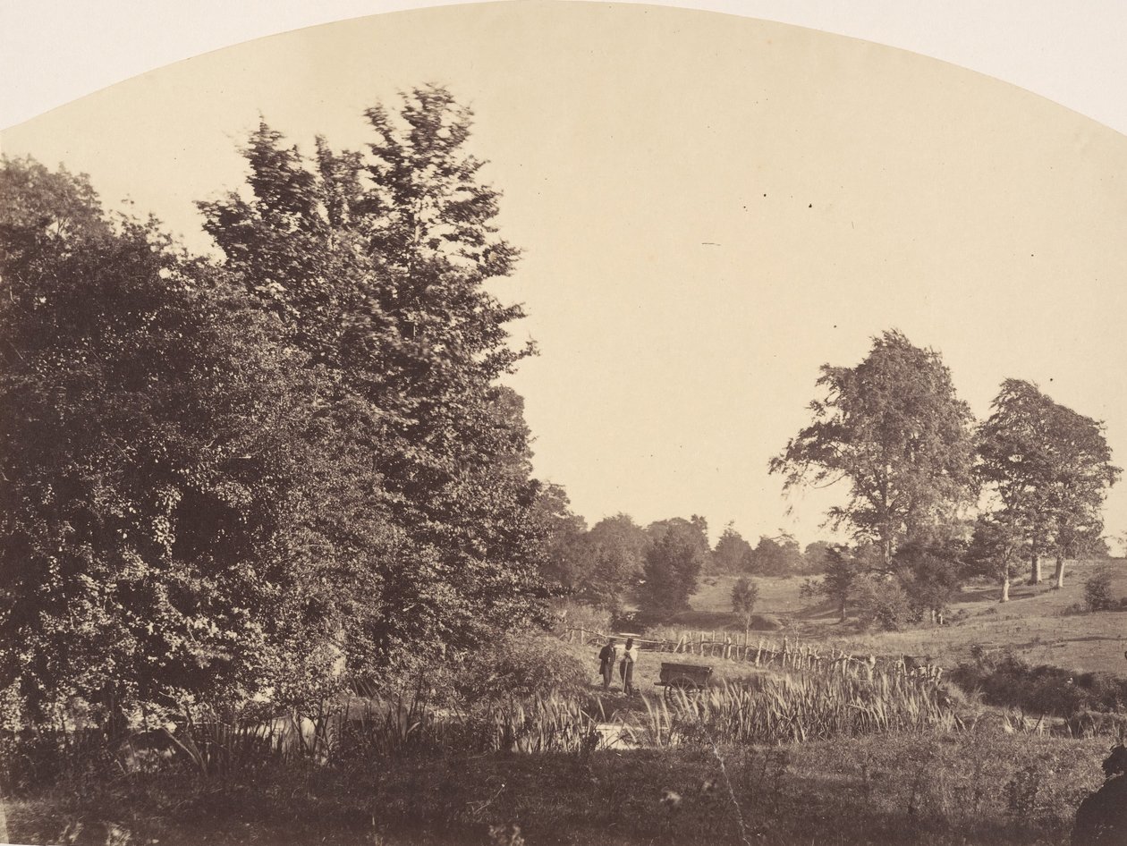 The Woodland Stream by Plunket