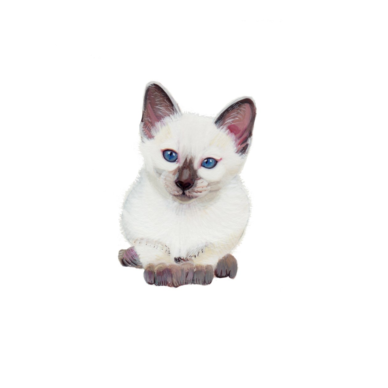 Siamese kitten, 2014 by Polly Horner