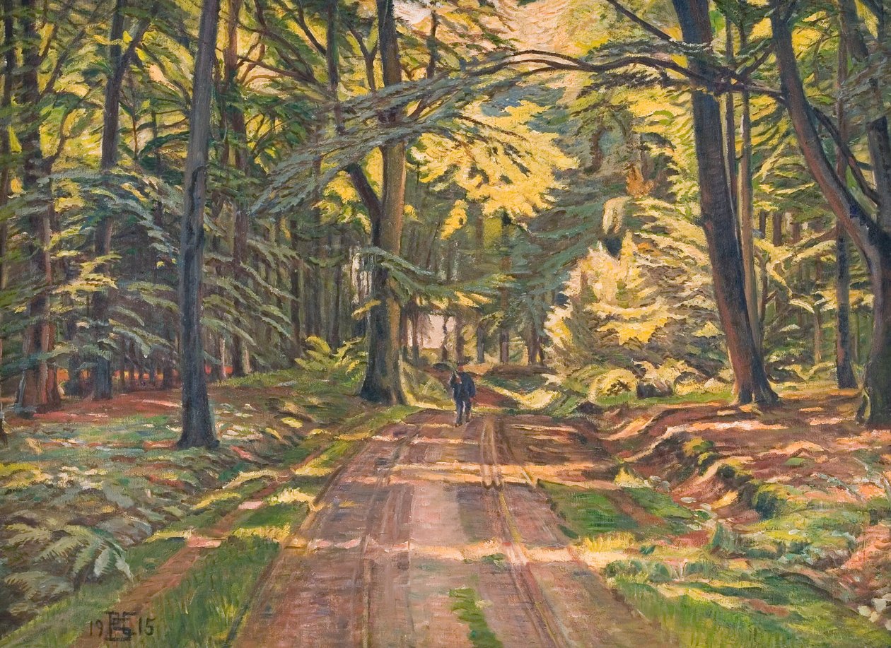 Forest Road near Dyrnæs by Poul S. Christiansen