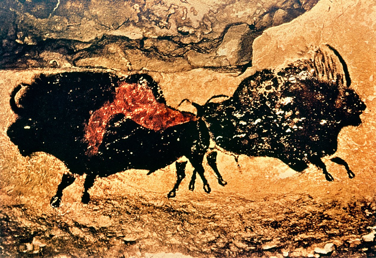 Rock painting of bison by Prehistoric
