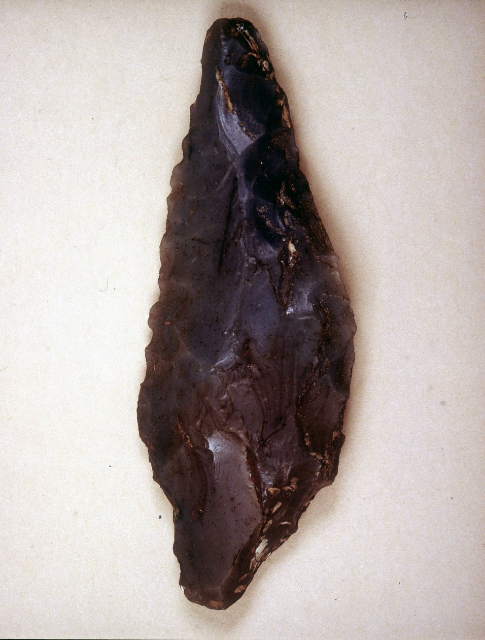 Arrows Point in Flint. Varèse. Museo Archeologico de Milan by Prehistoric Prehistoric