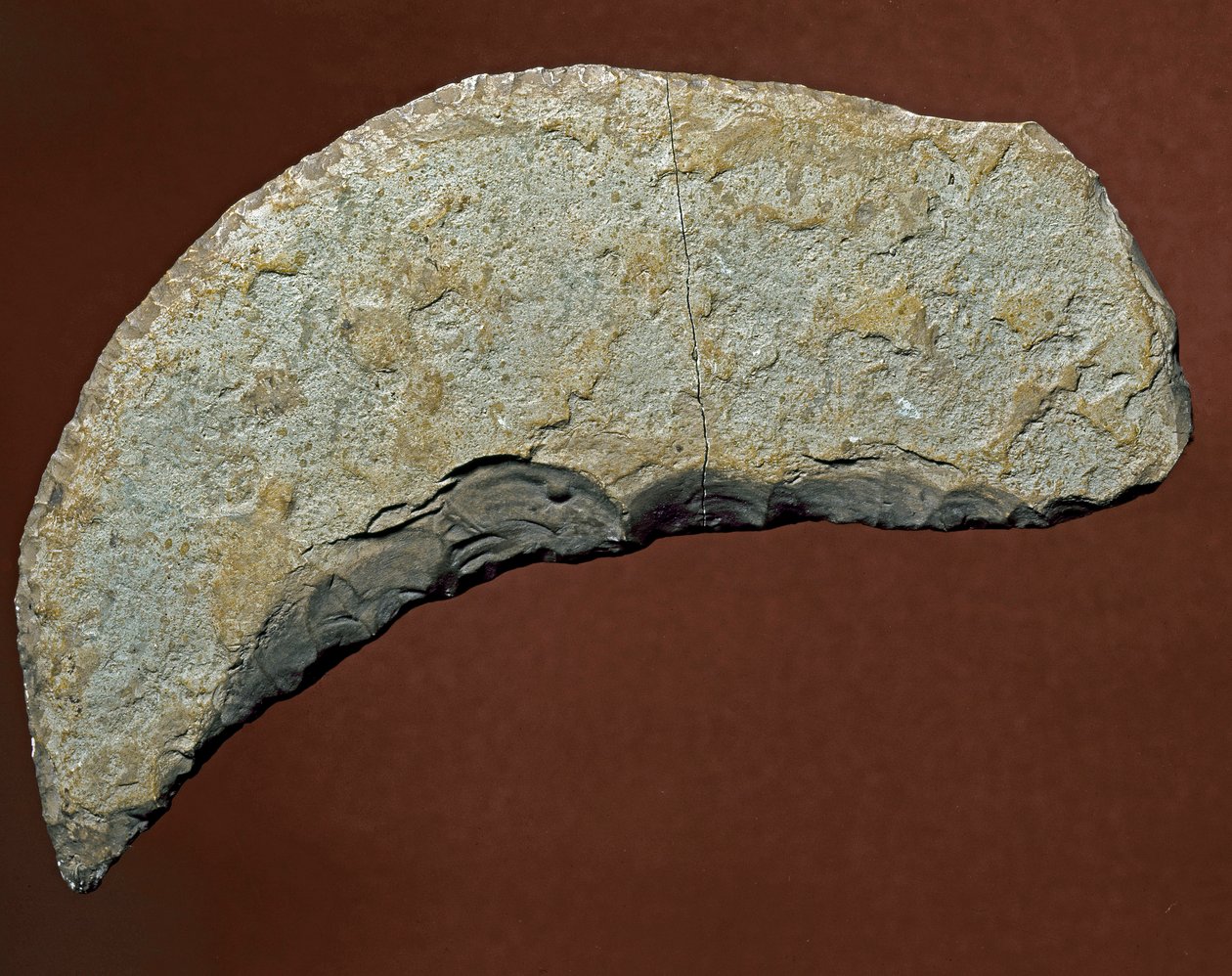 Prehistory: Chopper Type Tool of Lithic Manufacture of Kjokkenmoddinger, Denmark by Prehistoric Prehistoric
