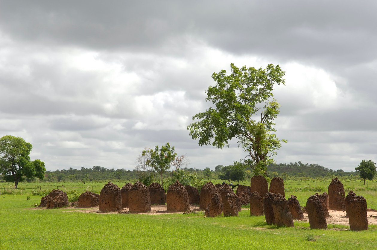 Prehistory: Megalithic circle of stones from Wassu, Gambia (photo) by Prehistoric Prehistoric