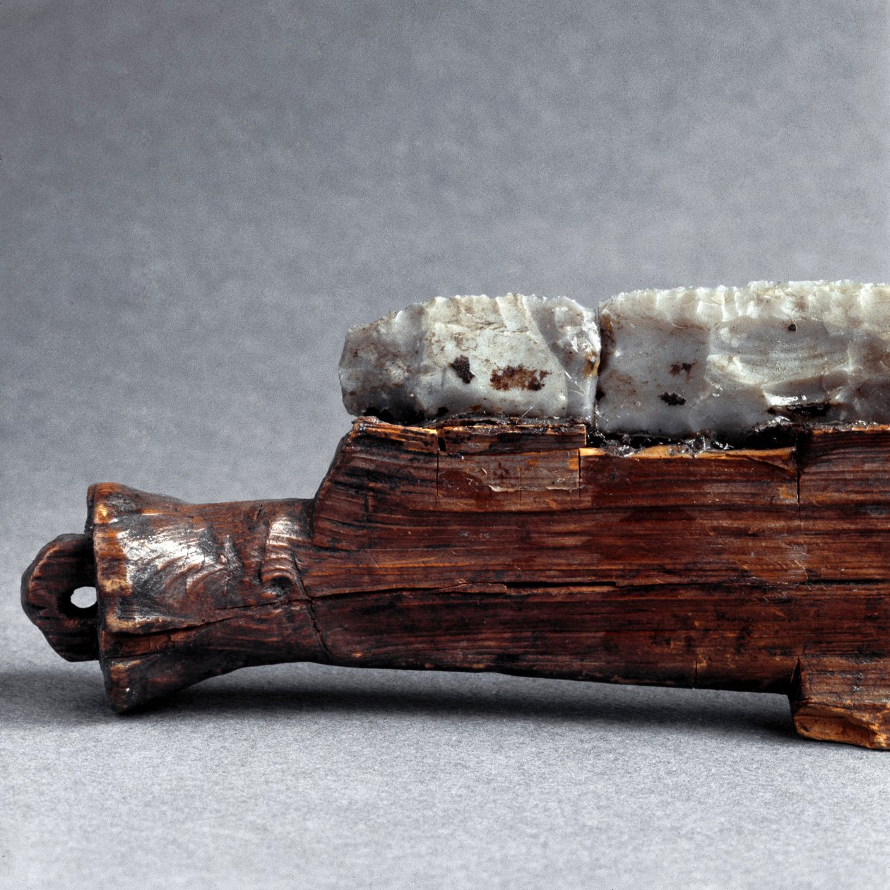 Prehistory: Saw from the Polada Tourbiere, Lonato by Prehistoric Prehistoric