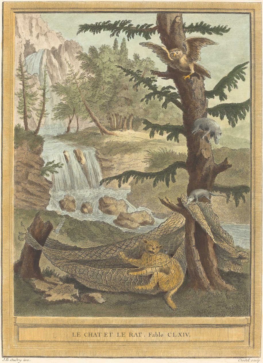 Die Katze und die Ratte