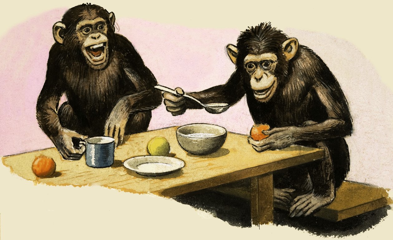 Z for Zoo: Chimpanzee