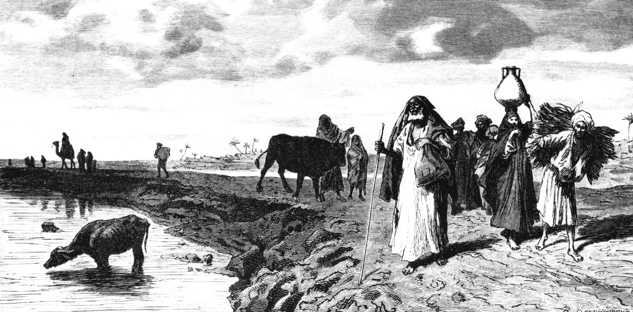 A Chaussee in the Delta, at the time of the flood by R. Brandamour