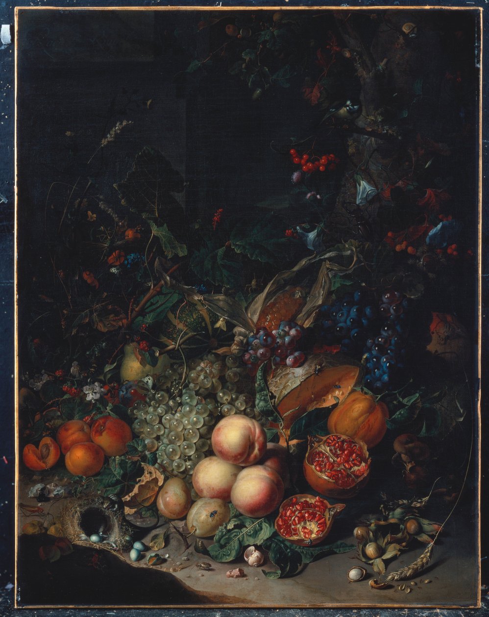 Peaches, Grapes, Pomegranates, Melons, a Corncob, Apricots, Plums, Pears, Acorns by Rachel Ruysch