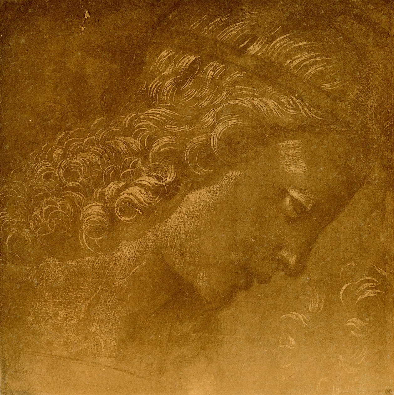 Study on an Angel Head by Raffaellino del Garbo