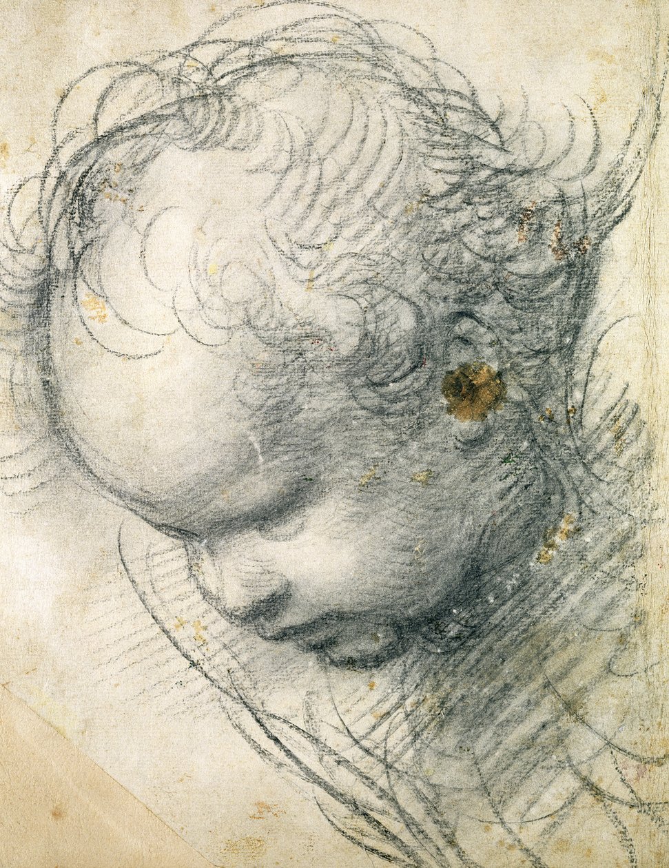 Head of a Cherub by Raffaello Sanzio Raphael