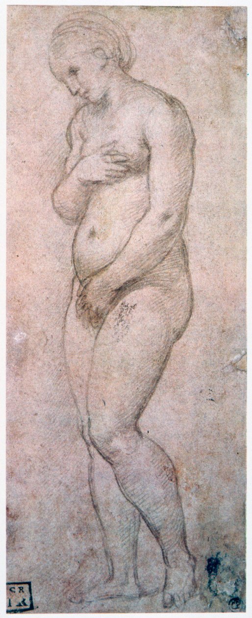 Study of Venus by Raffaello Sanzio Raphael