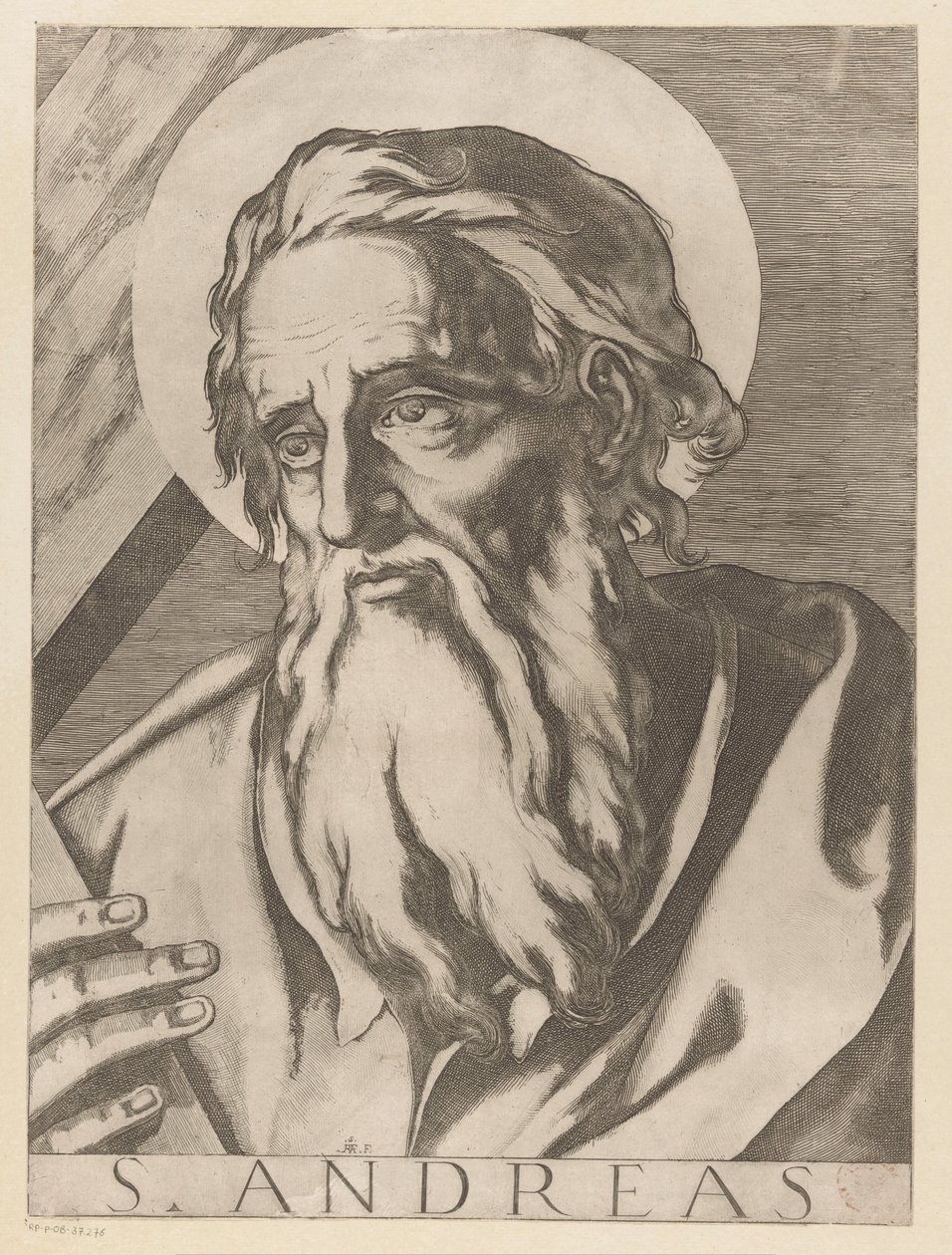 Saint Andrew by Raffaello Schiaminossi