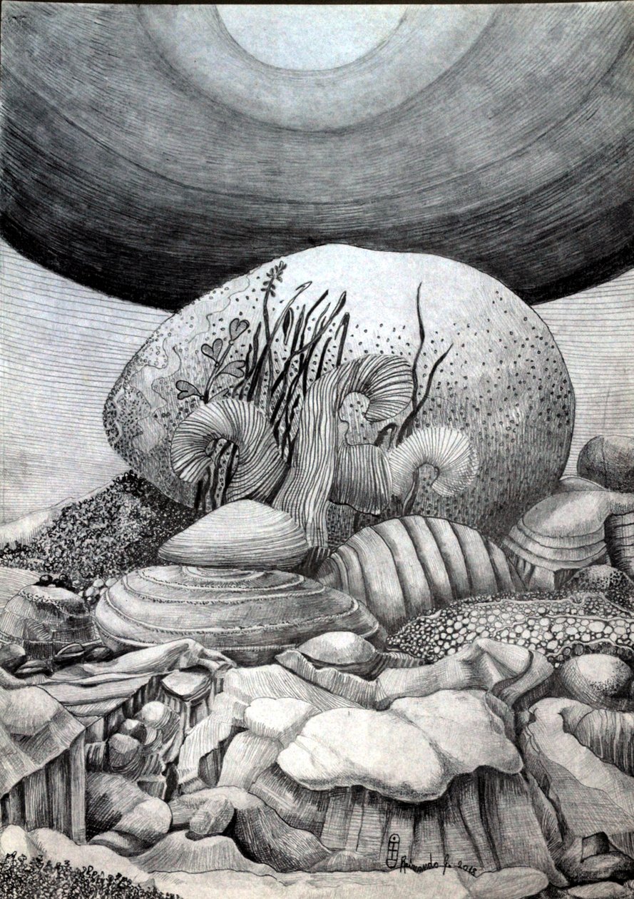 The Stone Egg by Raimondo Gambino