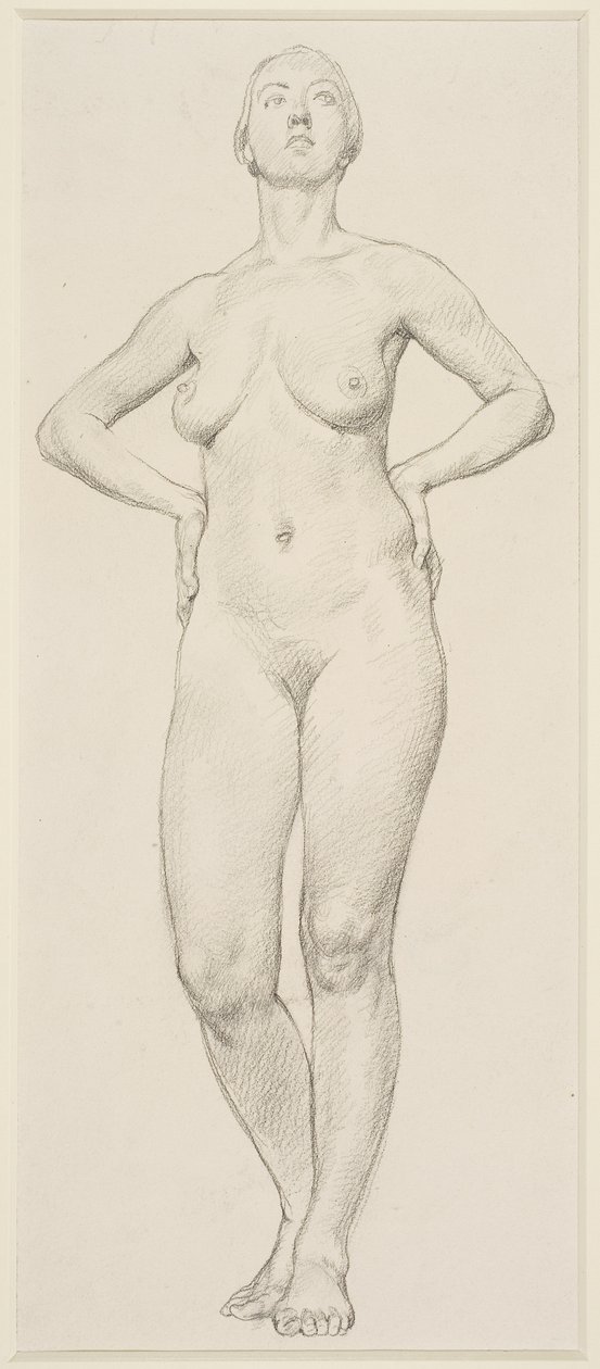 A Study of a Female by Randolph Schwabe